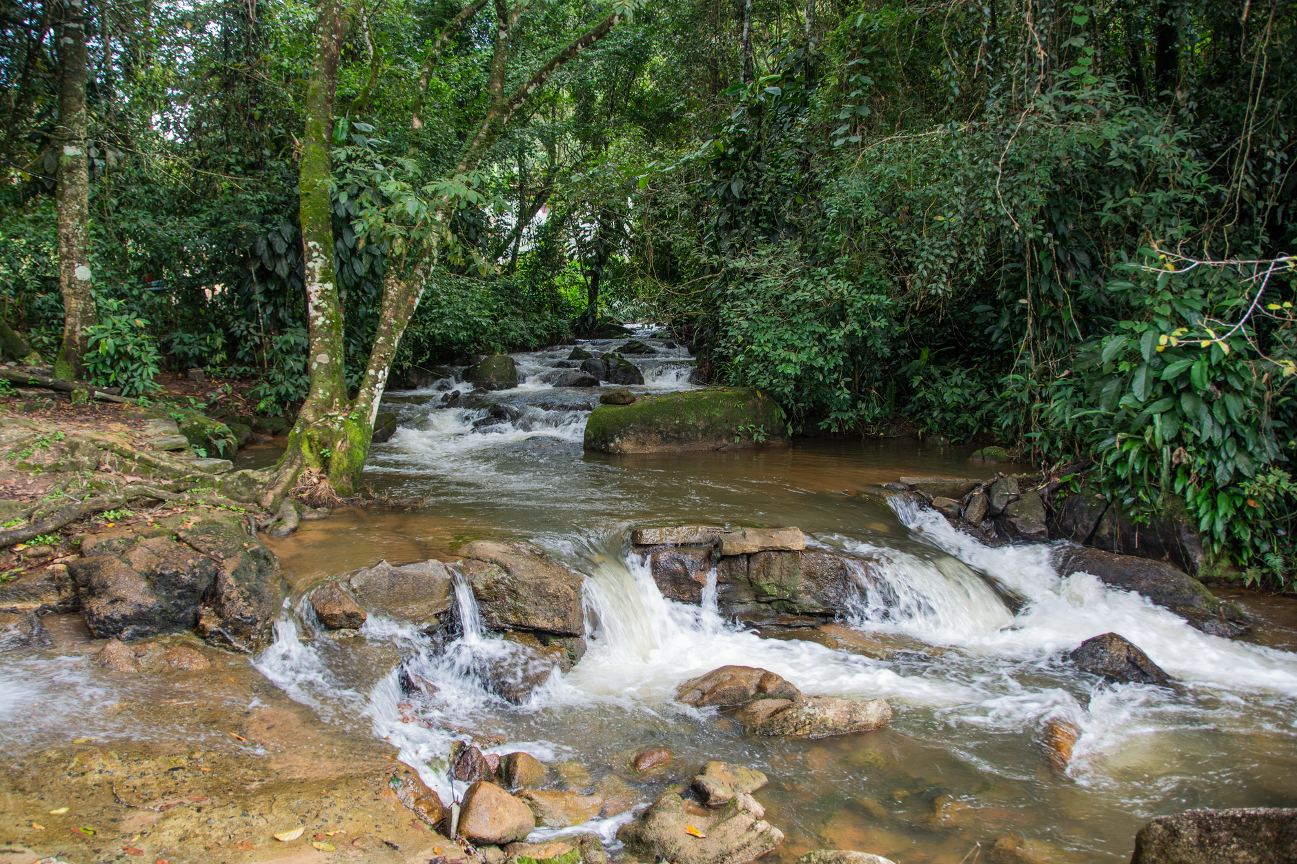 O Que Visitar em Machadinho D'Oeste: Roteiro de 3 Dias