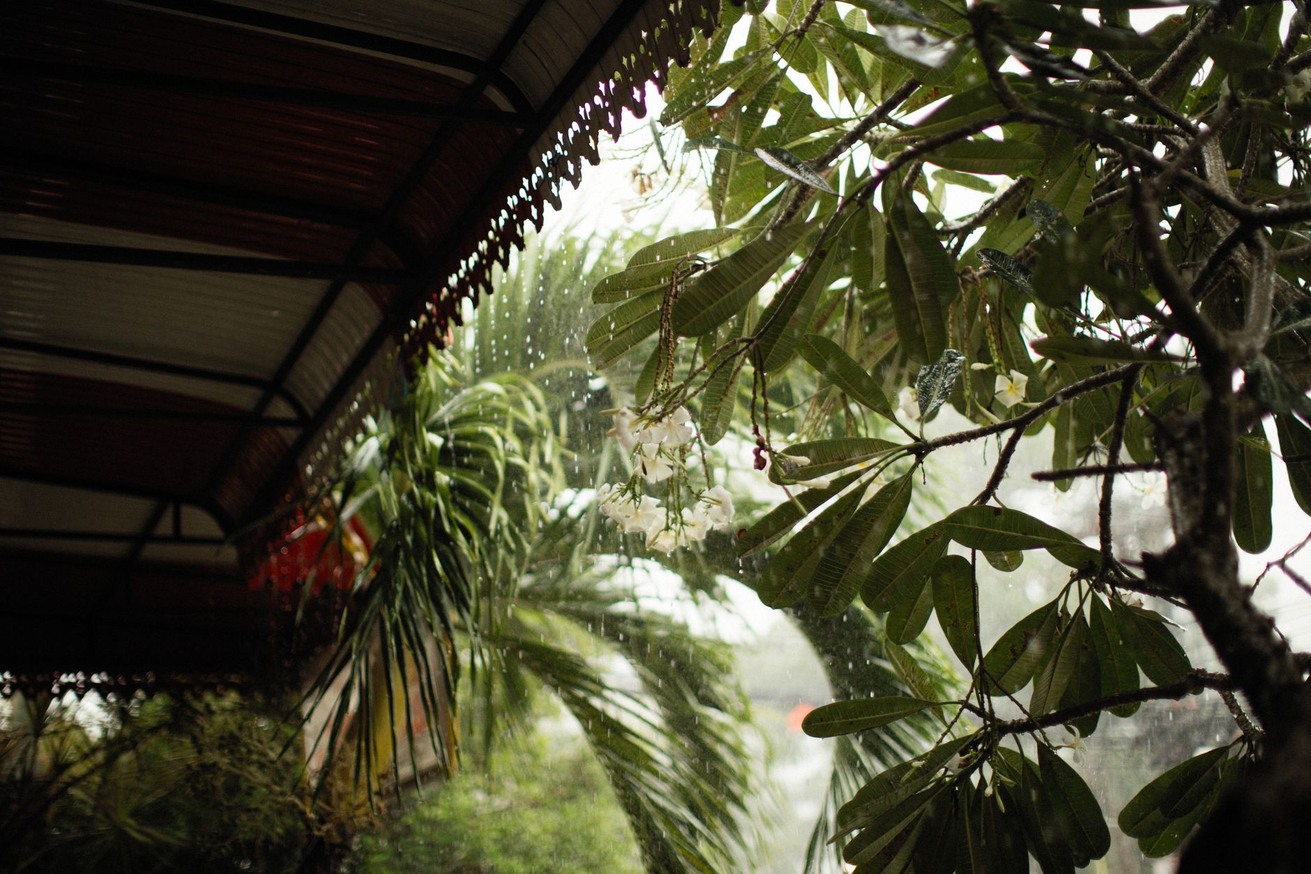 Chuva tropical sobre a paisagem verde perto de Imperatriz