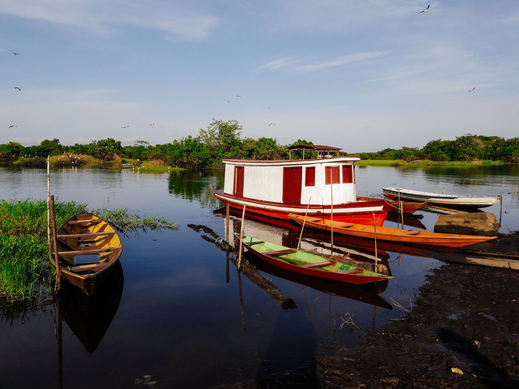 O Que Visitar em Porto Velho: Roteiro de 3 Dias