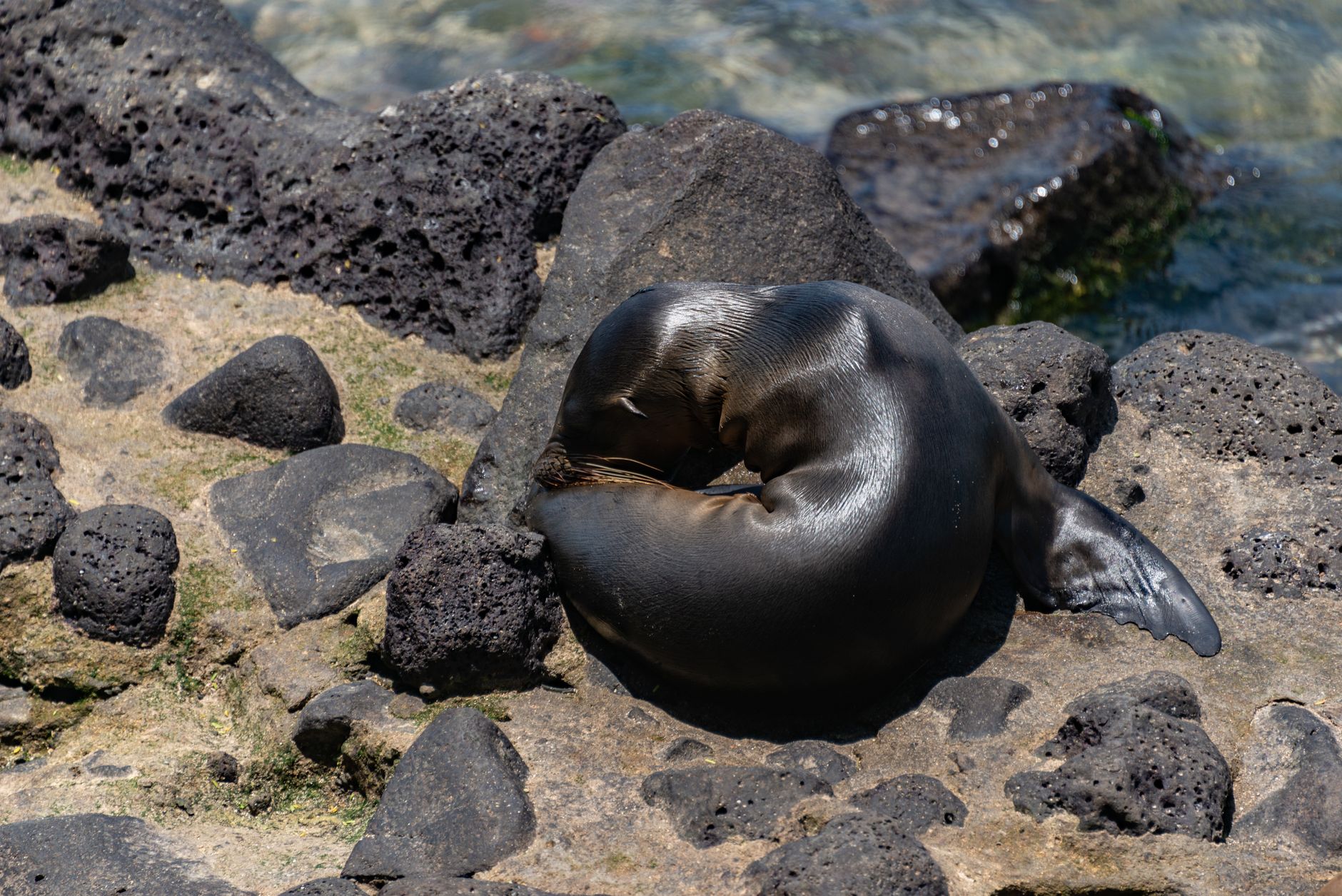 Melhor Época para Visitar Puerto Ayora