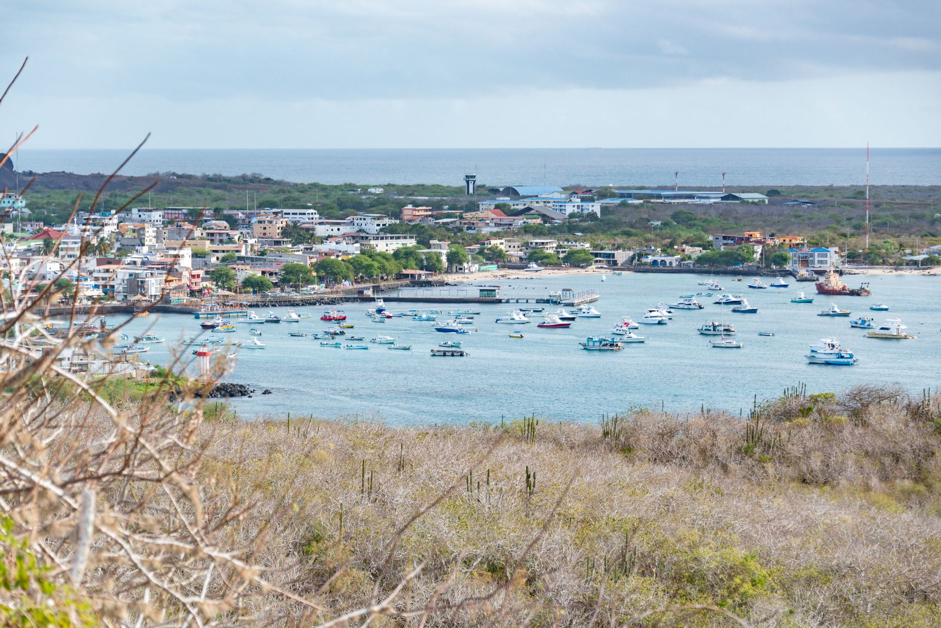 Onde Ficar em Puerto Ayora: Melhores Zonas e Alojamentos