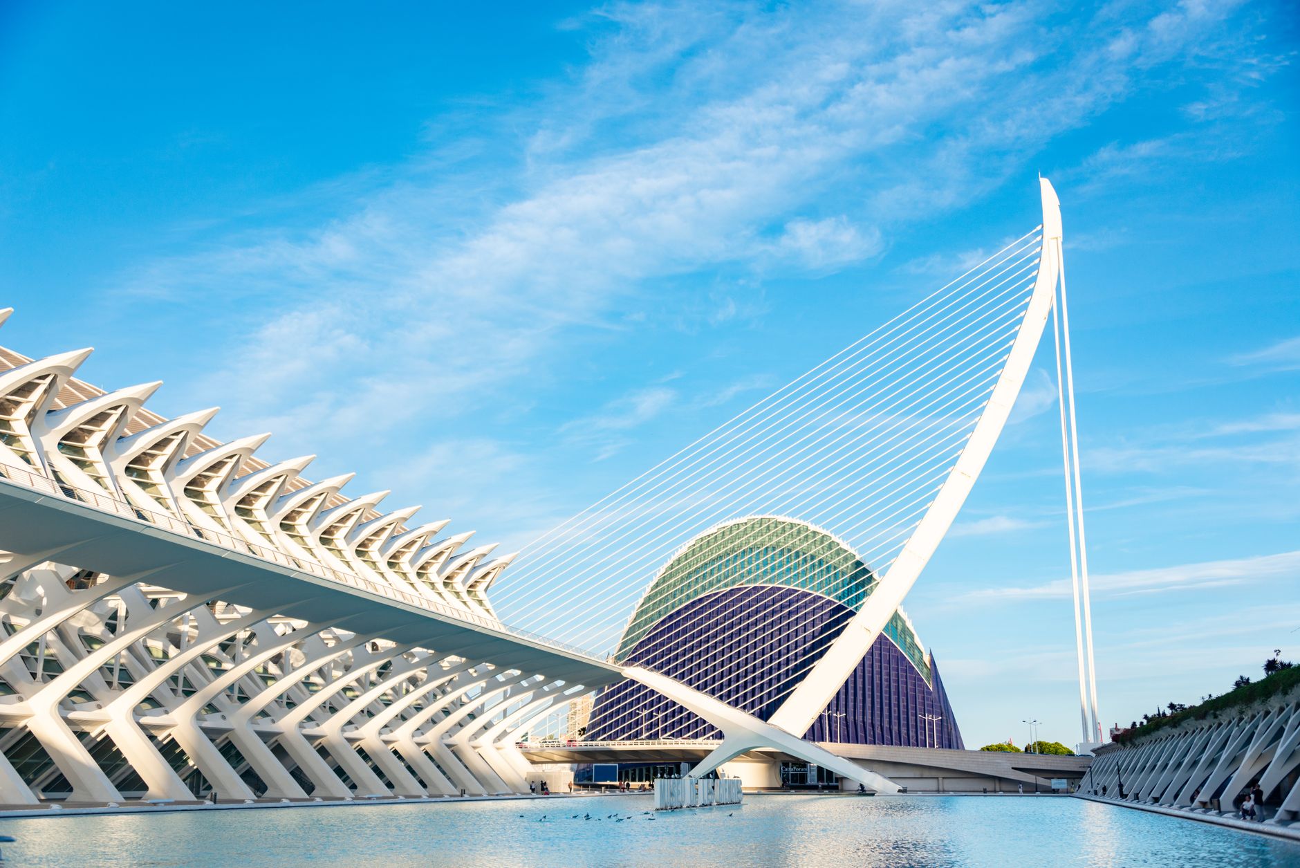 Vista da Cidade das Artes e das Ciências em Valencia