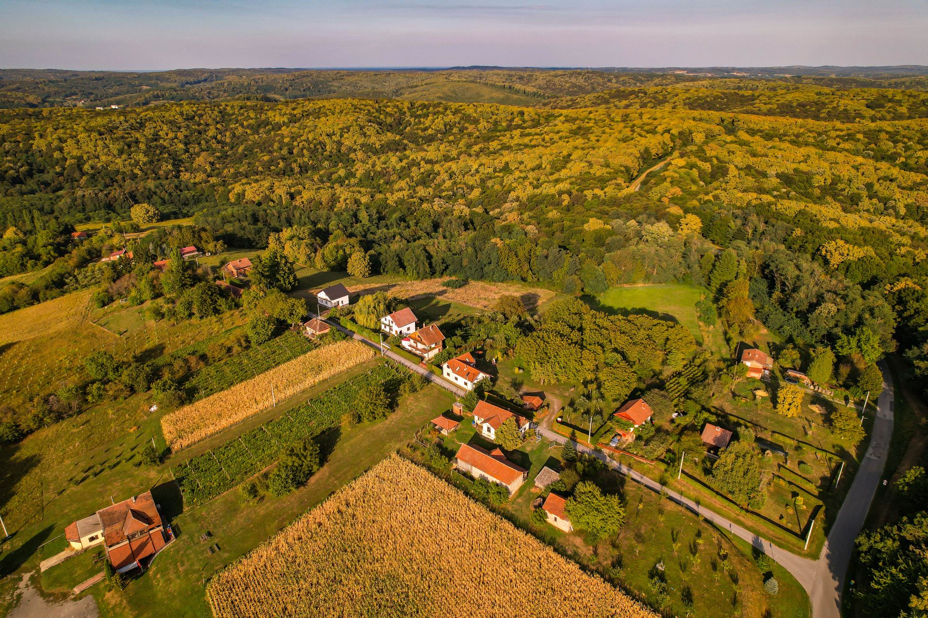 Vineyards in the Zagorje region near Zagreb