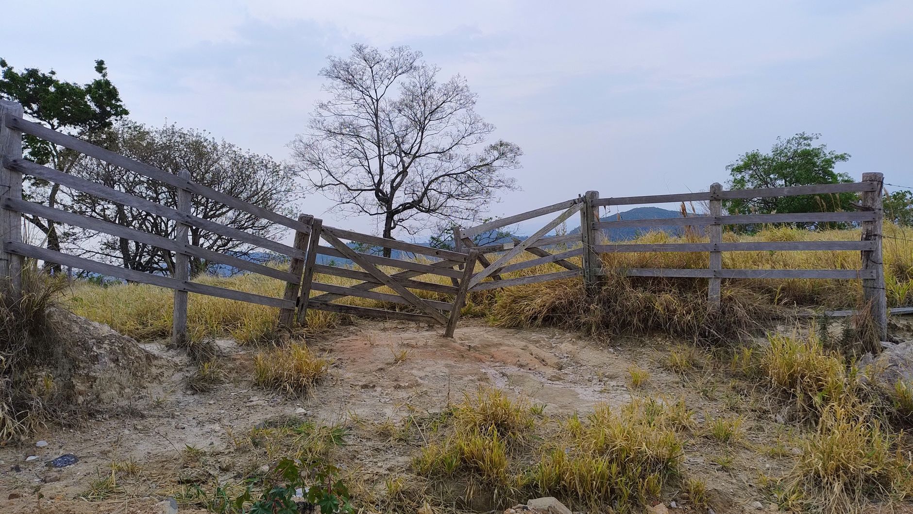 Paisagem seca e ensolarada no interior do Brasil