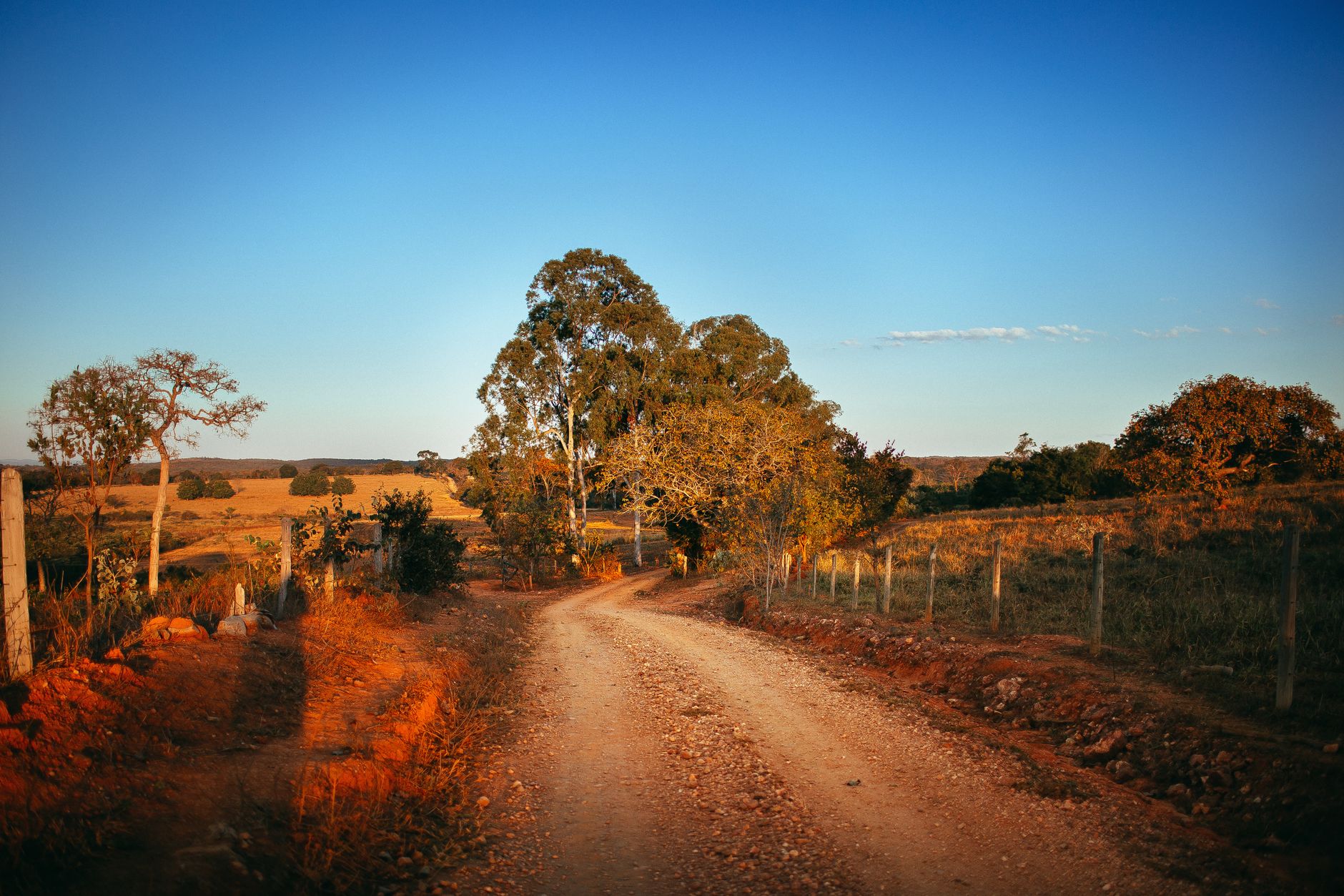 Paisagem de cerrado com plantações no sudoeste de Goiás
