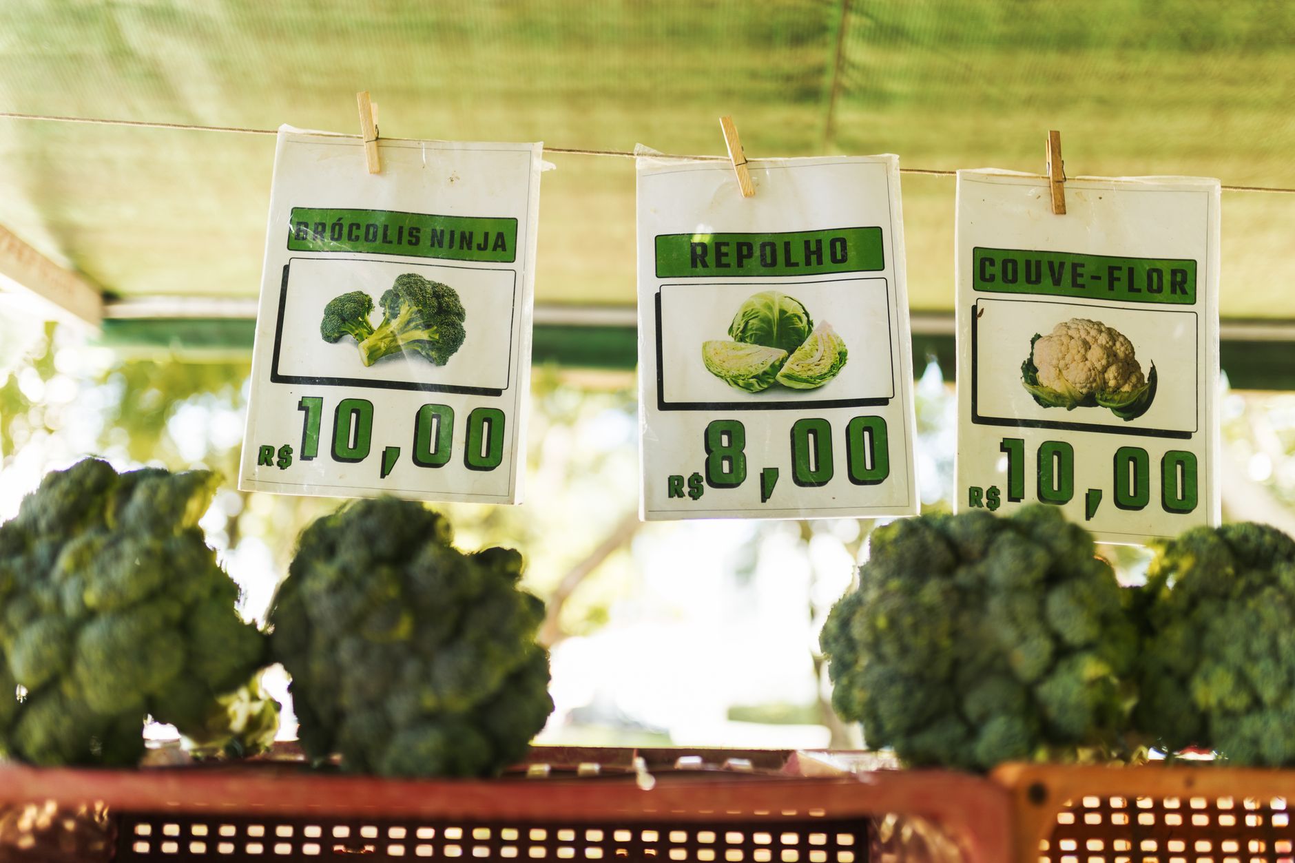 Feira de produtores locais com produtos frescos em Rio Verde