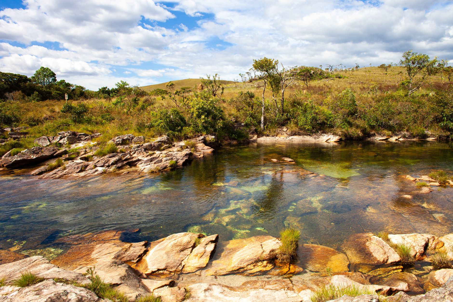 Paisagem de savana típica de Roraima