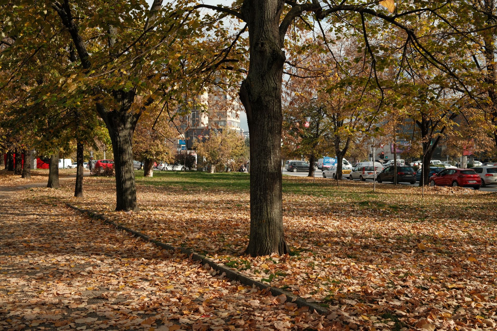 Parque em Zagreb com folhas de outono
