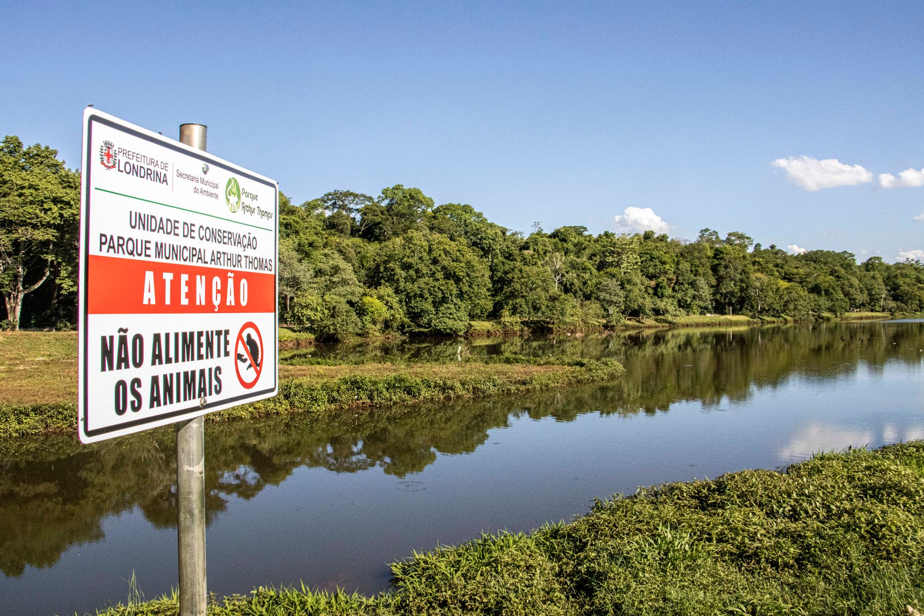 Lago Municipal de Cascavel rodeado de vegetação