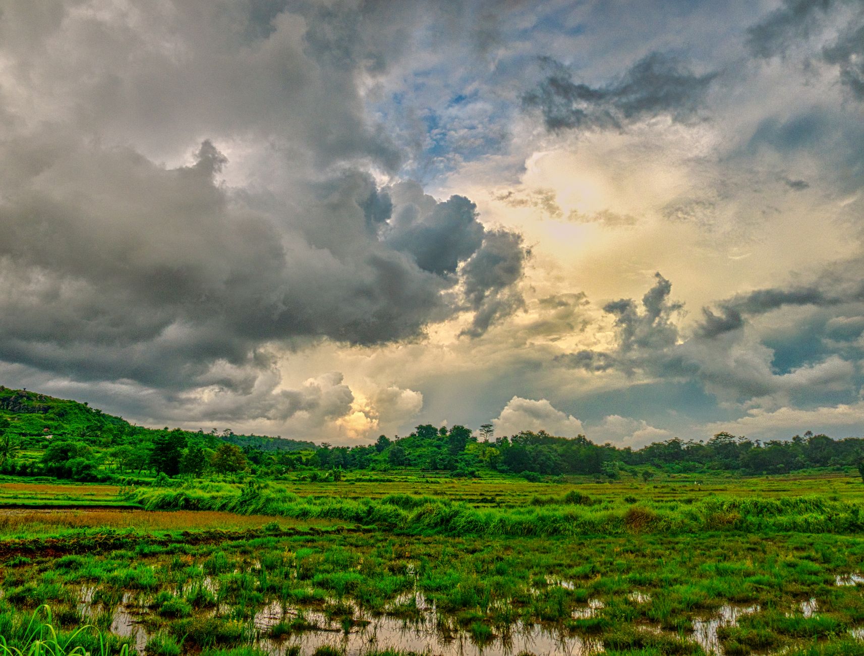 Green landscape during the rainy season in Machadinho D Oeste