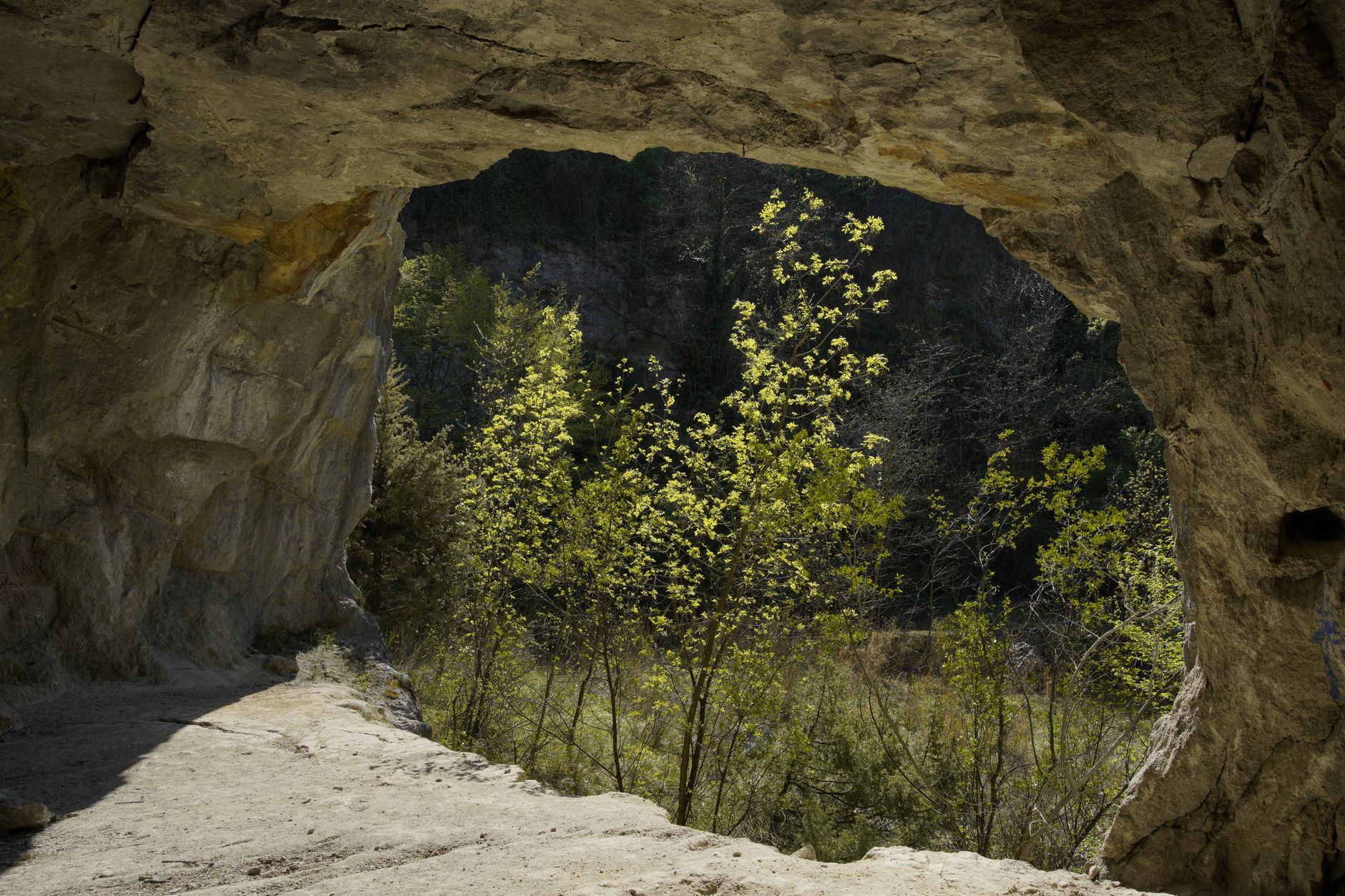 PONDEROSA CAVE RETREAT