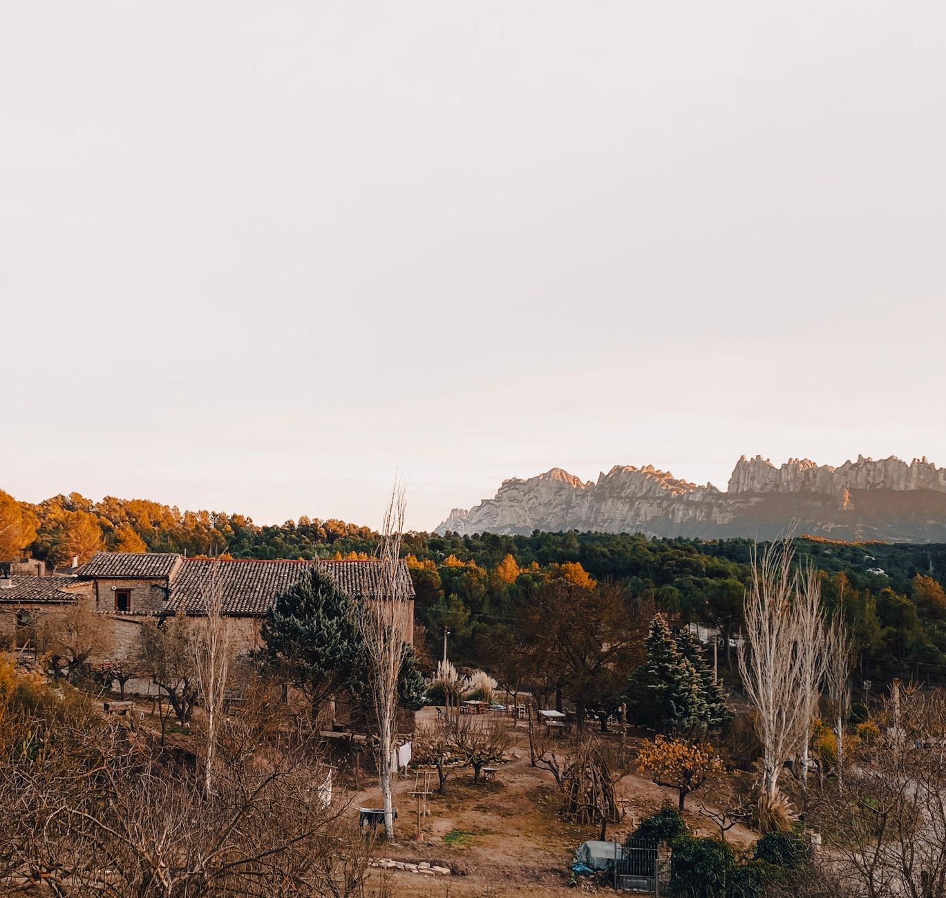 Finca Son Guardiola