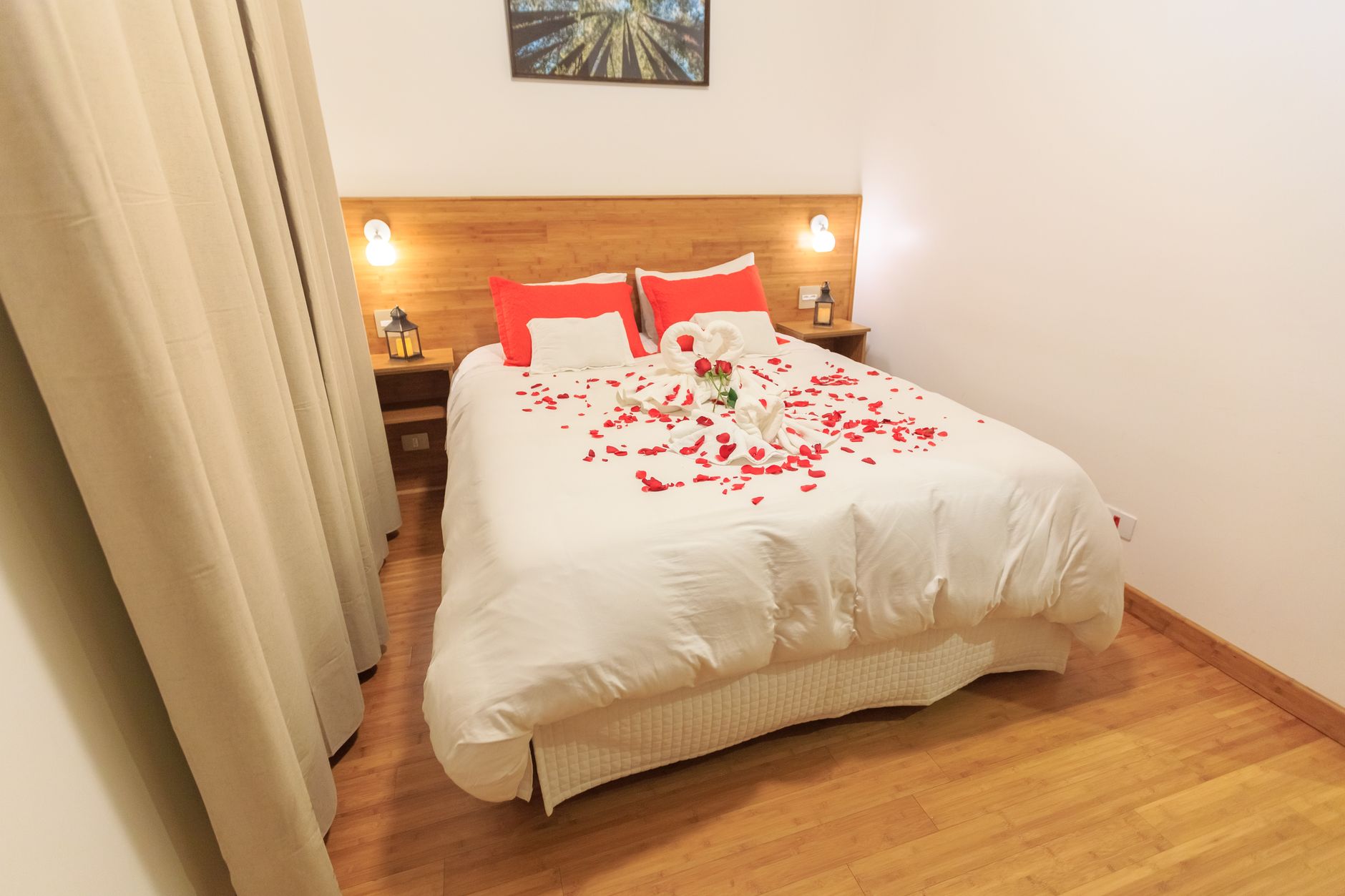 Albero Lodge