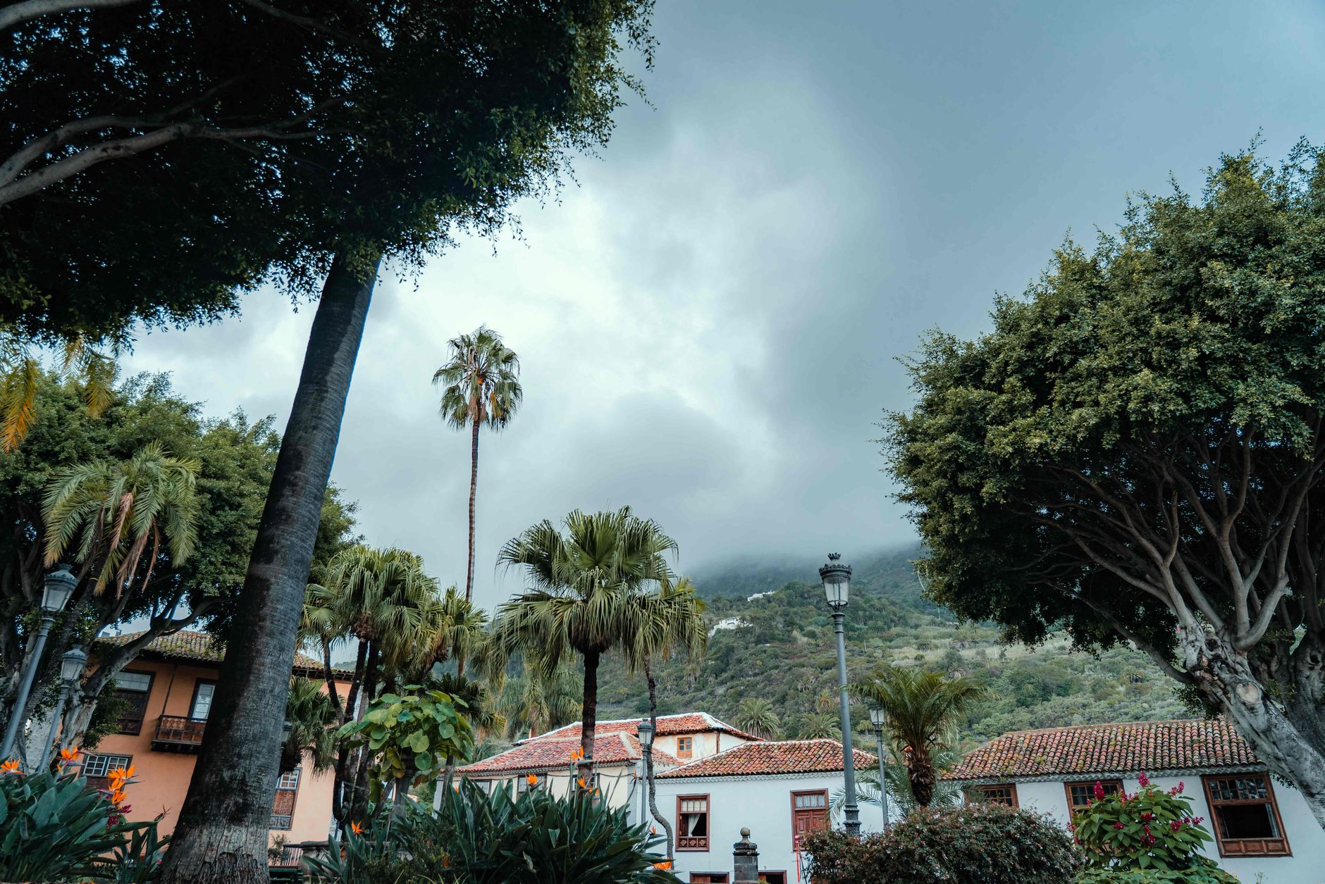 Nice house in Large Avocado Garden, Tenerife North