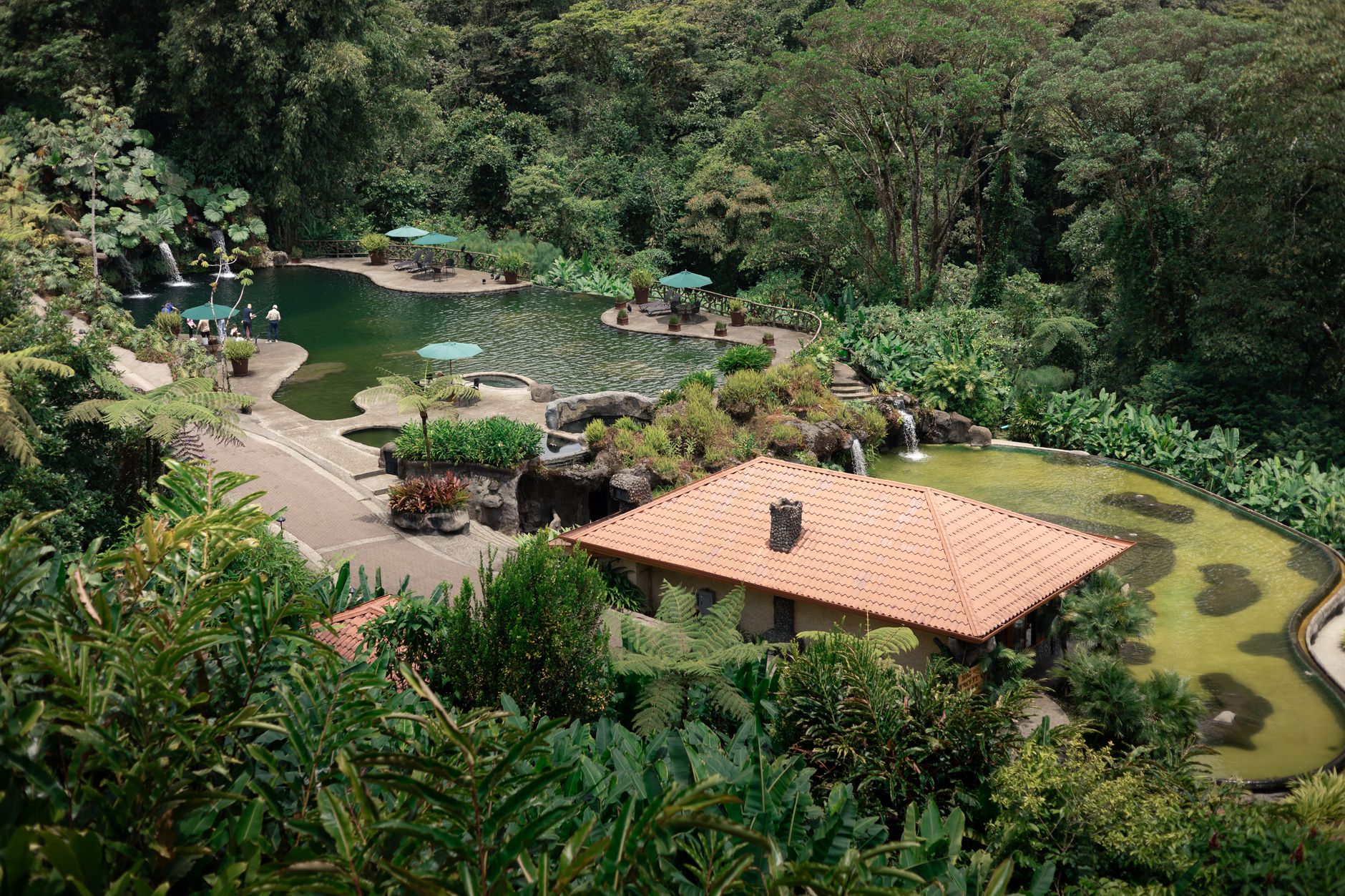 La Selva Jungle by Eco Luxury Group