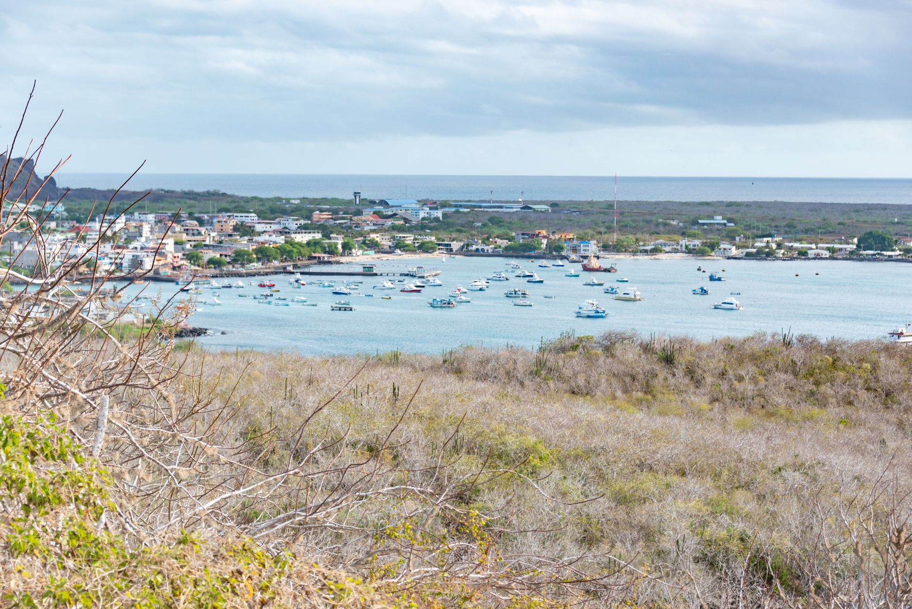 Hostal Galápagos de Ariana
