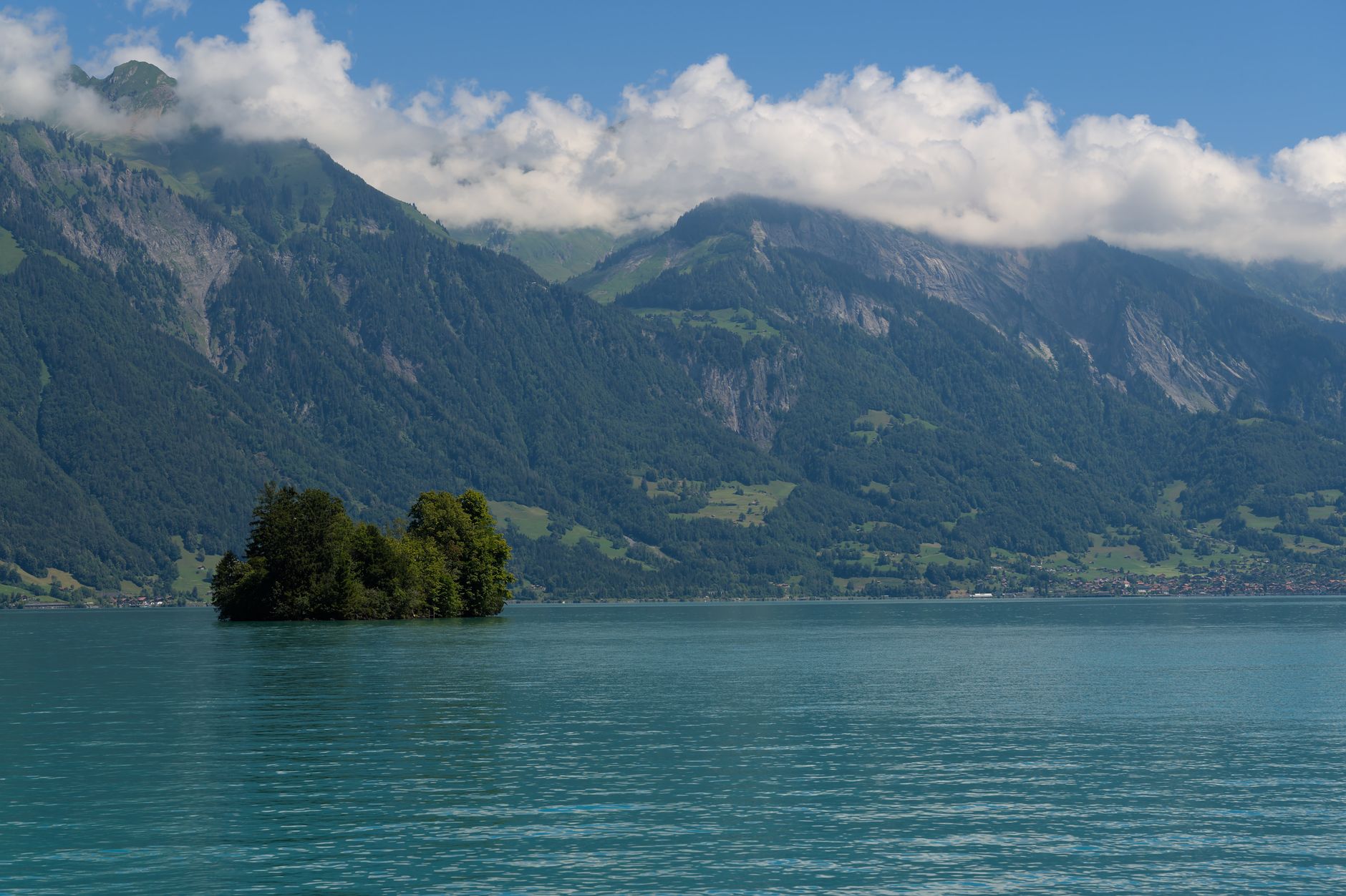 Schwarzhorn