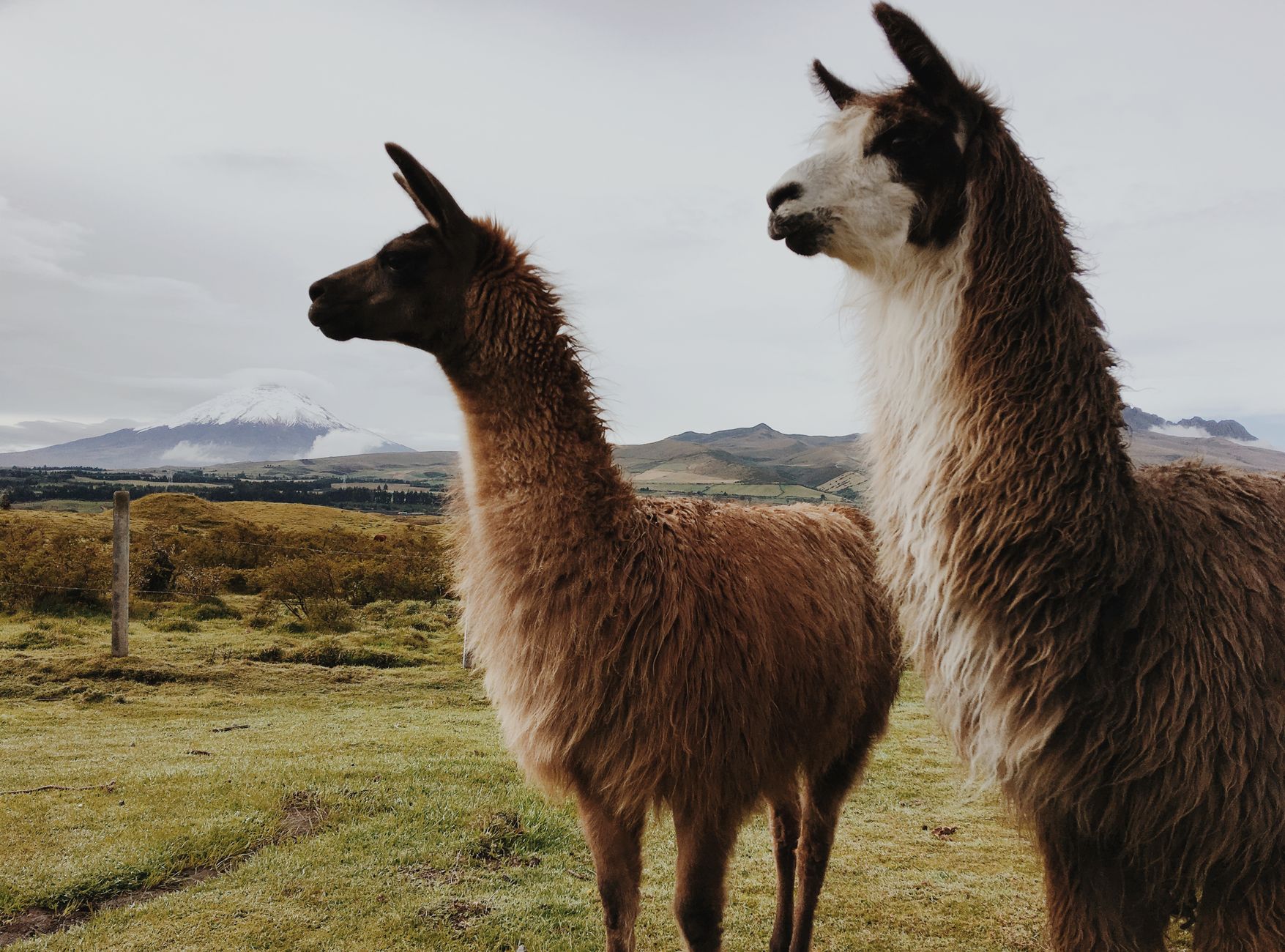 Hacienda Tambopaxi (Parque Nacional Cotopaxi)