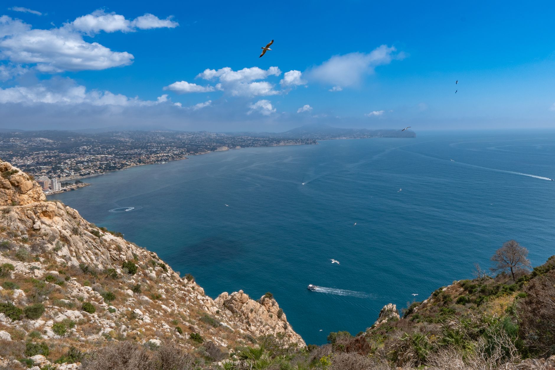 Pensión Rioka Calp