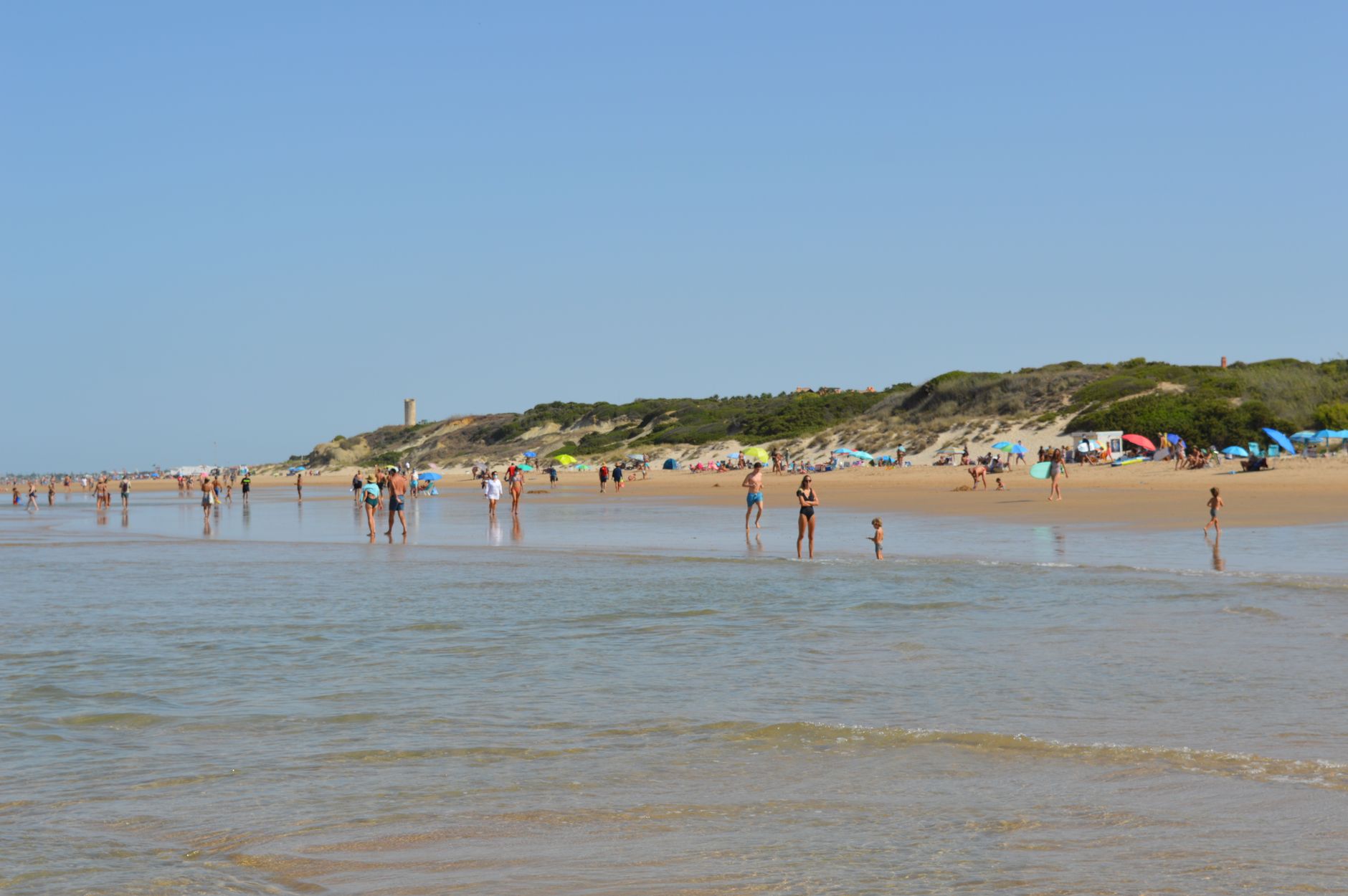 La Luciérnaga de Chiclana