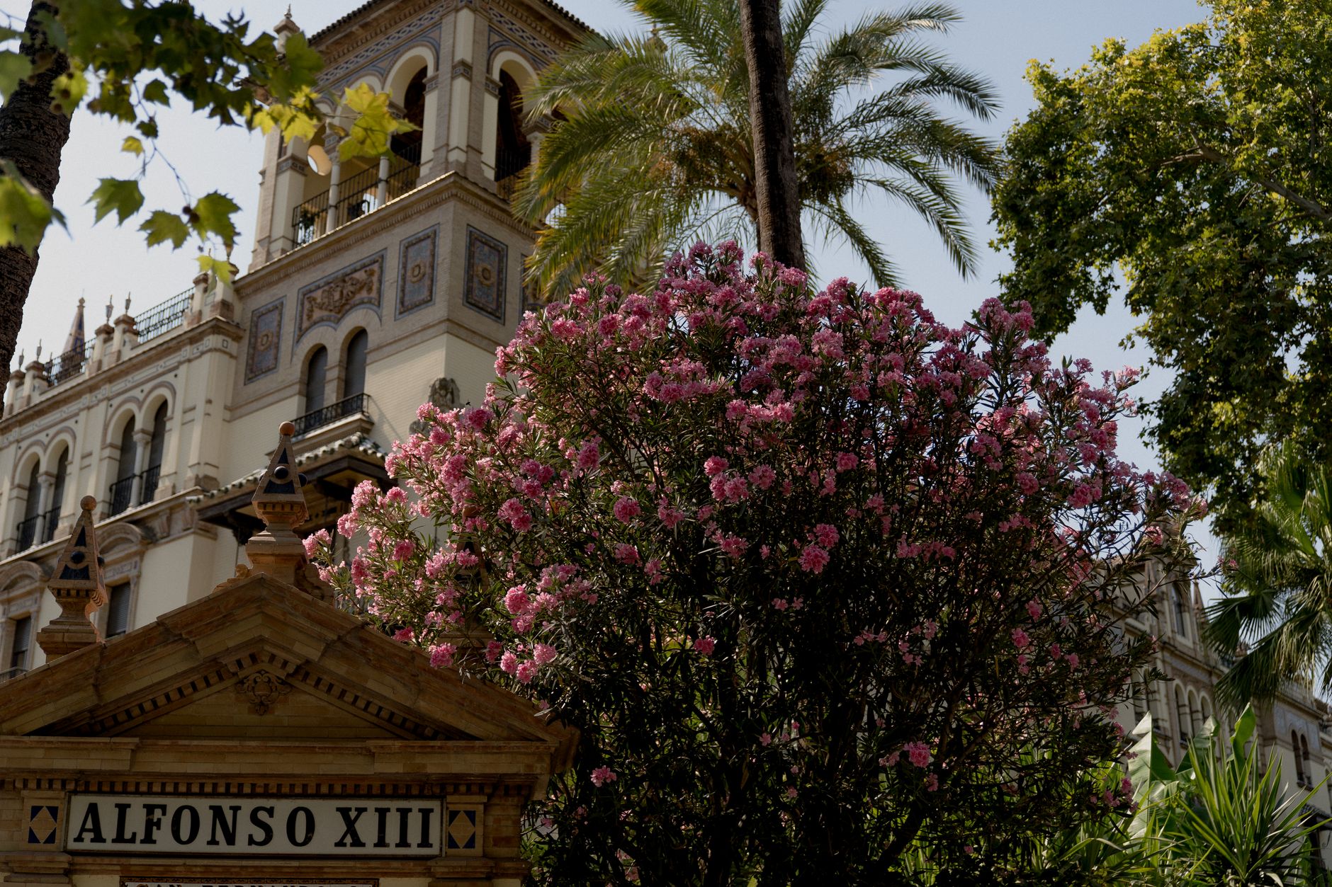 Bingo Hotel Alfonso XIII